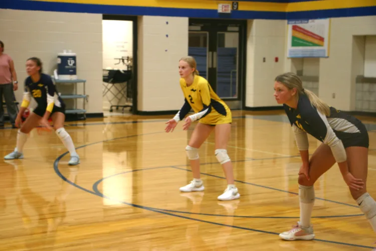 Baraga volleyball swings past Chassell